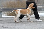 IMG_6444