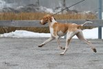 IMG_6473