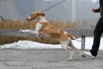 IMG_6508