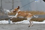 IMG_6509