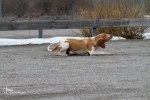 IMG_6792