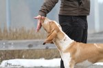 IMG_6824