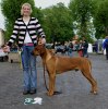 cazzo_cert