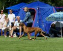ask_2009_chelzie