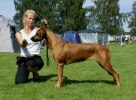 ask_2009_chelzie_sta