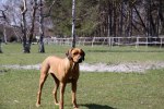 20100426 089