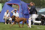 20090809_askersund_0421-48
