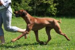 080526_lek-o-rorelsebilder_3084