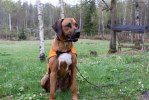 20100515 096 (Small)[1]