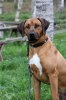 20100515 201 (Small)[1]
