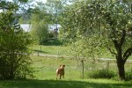 DSC_0068