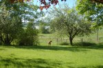 DSC_0069