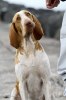 20100624_0232