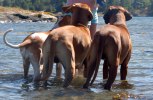 DSC_0319