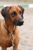20090719_tjorn_1030