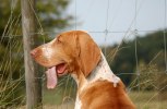 DSC_0082