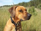 Badflickan i Hjo 200908 057