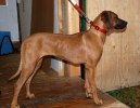 Leah 31 10 10 -