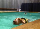 IMG_0134
