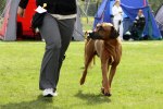 _MG_2126800