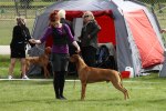 _MG_2128800