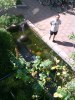 DSC00009