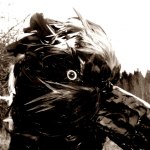 SOLD! Birdmask by Shara- ordered for a musicvideo