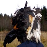 SOLD! Birdmask by Shara- ordered for a musicvideo