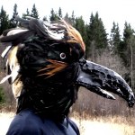 SOLD! Birdmask by Shara- ordered for a musicvideo