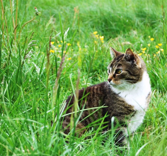Geraldine- Photo: Shara