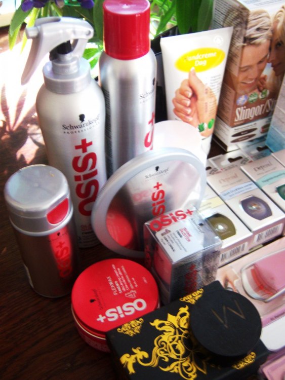 Lady Gaga competition prize
