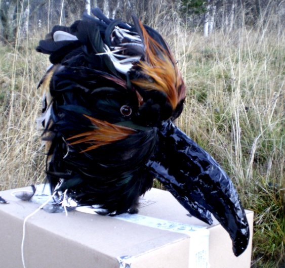 Birdmask by Shara- nearly done. 