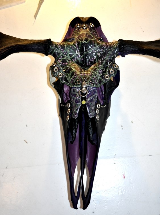 Moose skull in the making.. 