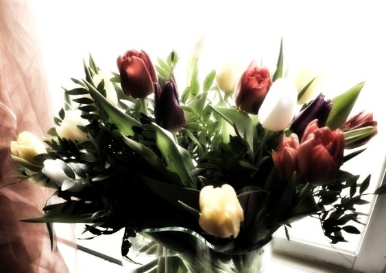 Flowers for Shara