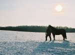 -15 grader celsius!