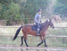 Ulrika in Action on Rumanian Mustang 2010!