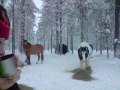 Join-Up Lady och Fredrik