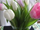 PICT0008 (2)