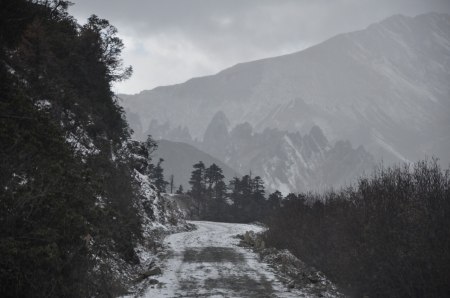 Snö