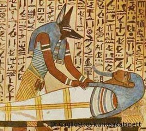 Anubis