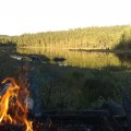 källtjärn
