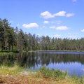 Tattartjärn 1