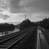 _MG_6561(2)