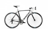 Focus Izalco
