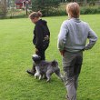 Anne kontrolerar vårat FF