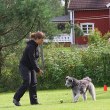 Boll belöning