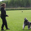 Boll belöning