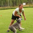 kamp som belöning
