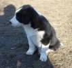 Tobbe2