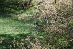 DSC_0093